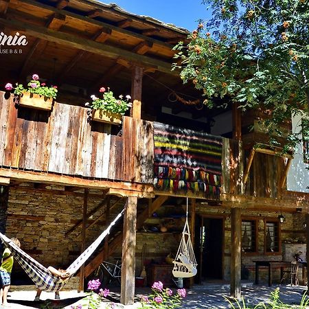 Kalinia Guesthouse B&B Kovacevica Ngoại thất bức ảnh