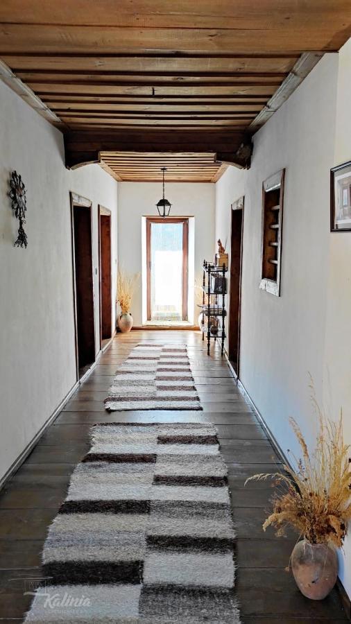 Kalinia Guesthouse B&B Kovacevica Ngoại thất bức ảnh