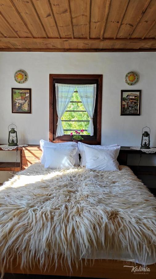 Kalinia Guesthouse B&B Kovacevica Ngoại thất bức ảnh