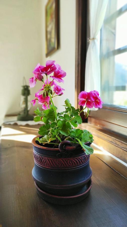 Kalinia Guesthouse B&B Kovacevica Ngoại thất bức ảnh