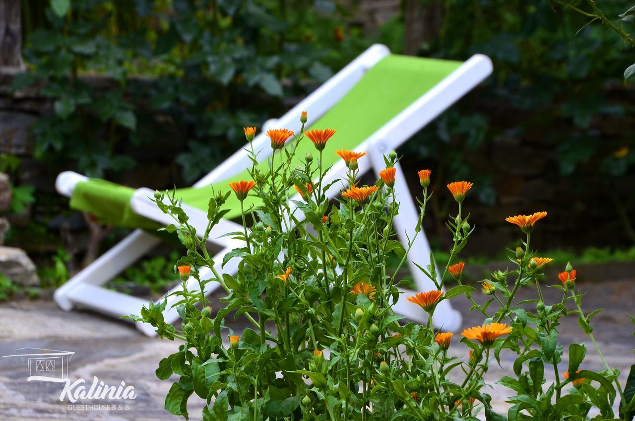 Kalinia Guesthouse B&B Kovacevica Ngoại thất bức ảnh