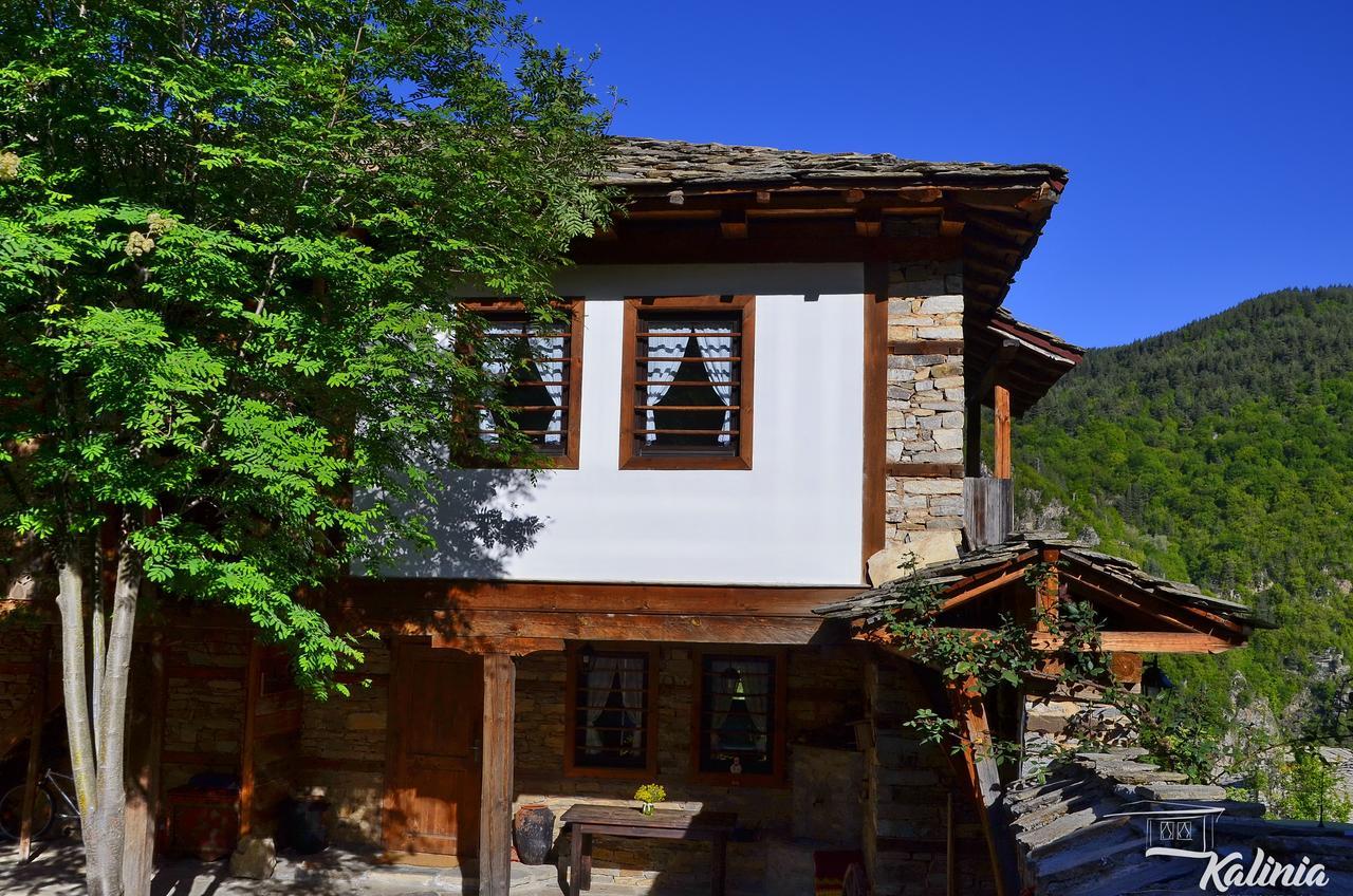 Kalinia Guesthouse B&B Kovacevica Ngoại thất bức ảnh