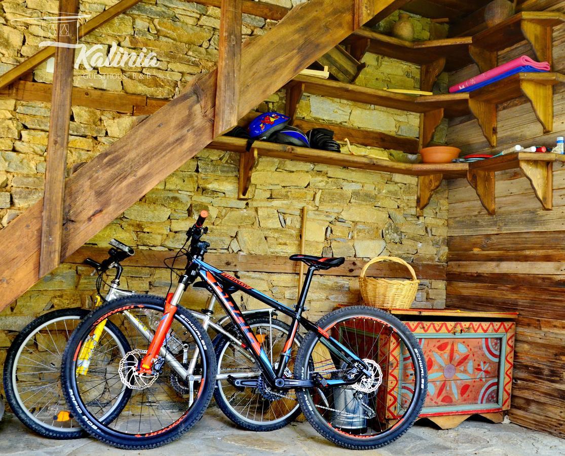 Kalinia Guesthouse B&B Kovacevica Ngoại thất bức ảnh