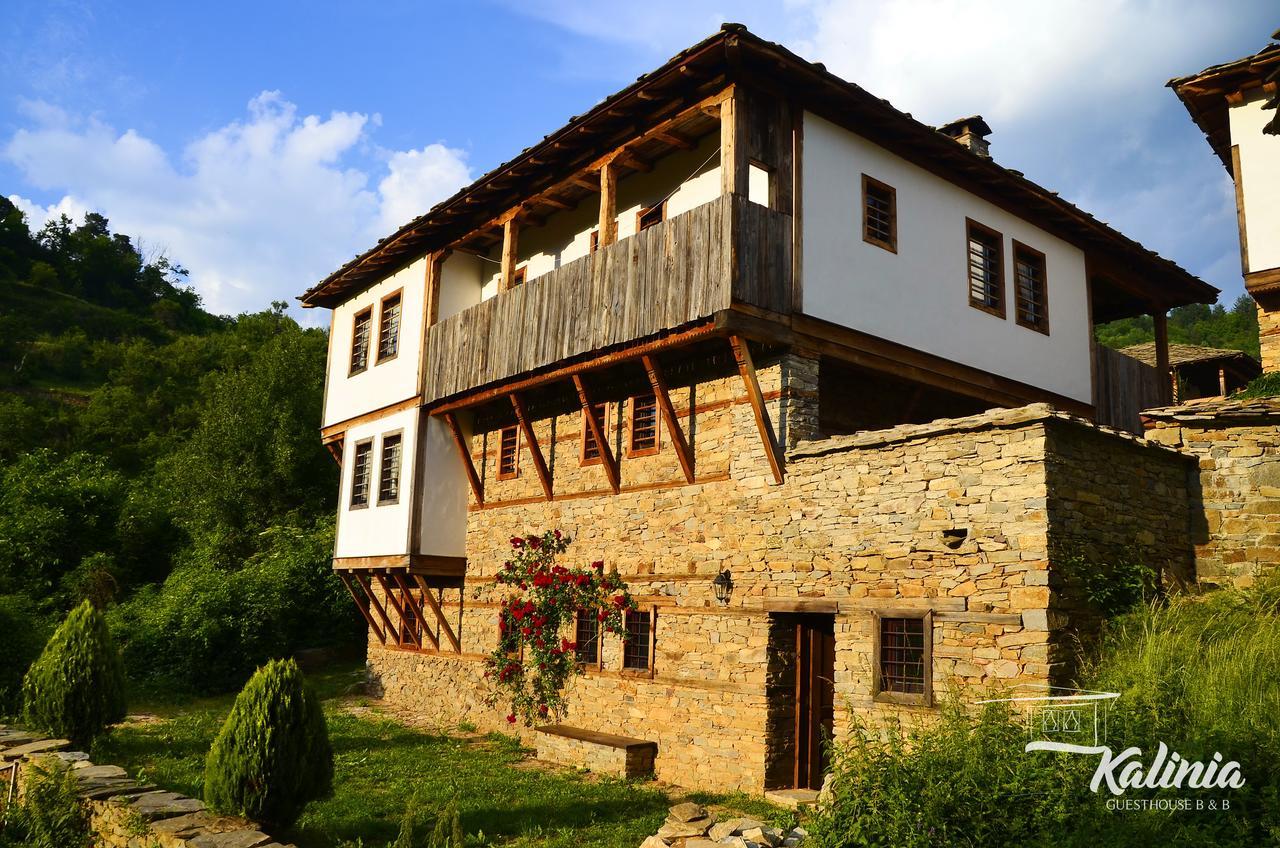 Kalinia Guesthouse B&B Kovacevica Ngoại thất bức ảnh