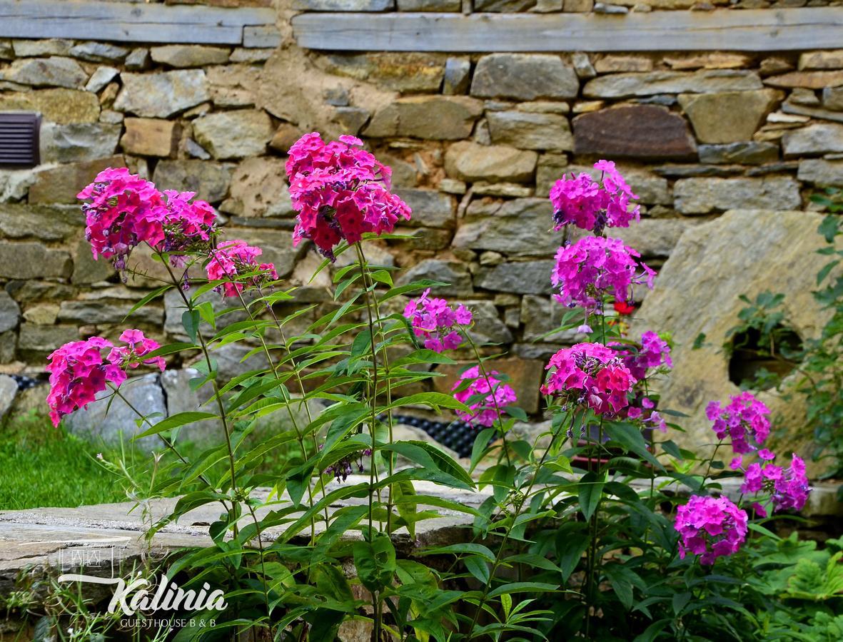 Kalinia Guesthouse B&B Kovacevica Ngoại thất bức ảnh