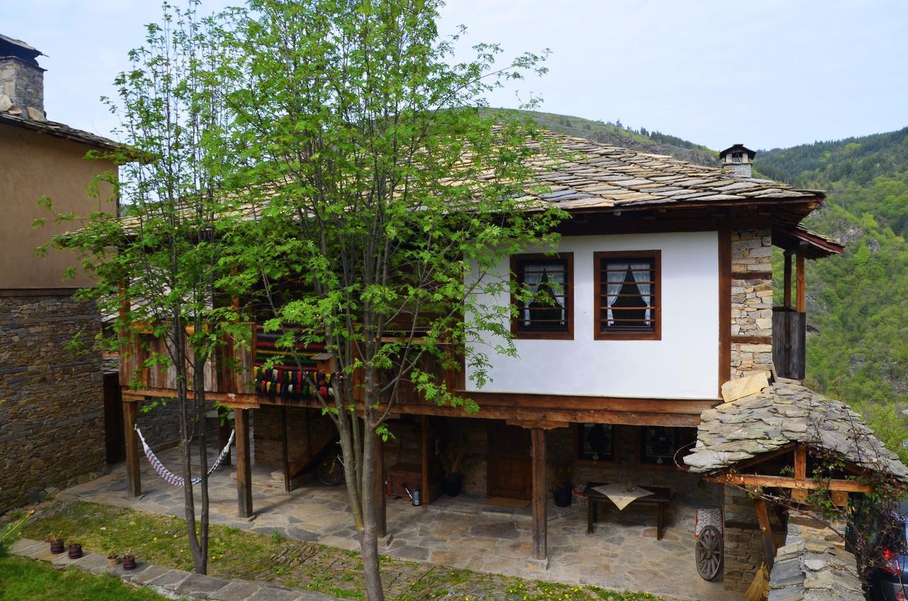 Kalinia Guesthouse B&B Kovacevica Ngoại thất bức ảnh