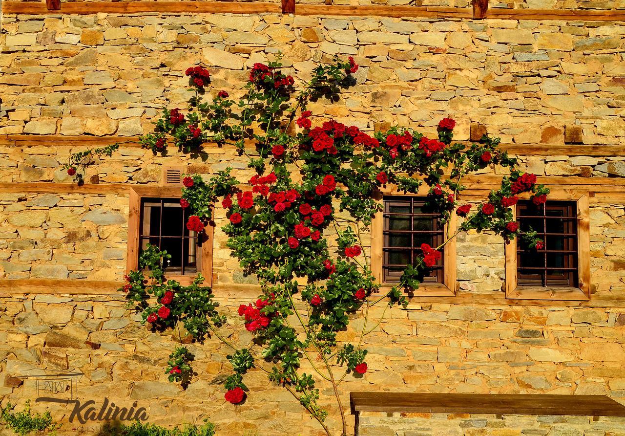 Kalinia Guesthouse B&B Kovacevica Ngoại thất bức ảnh