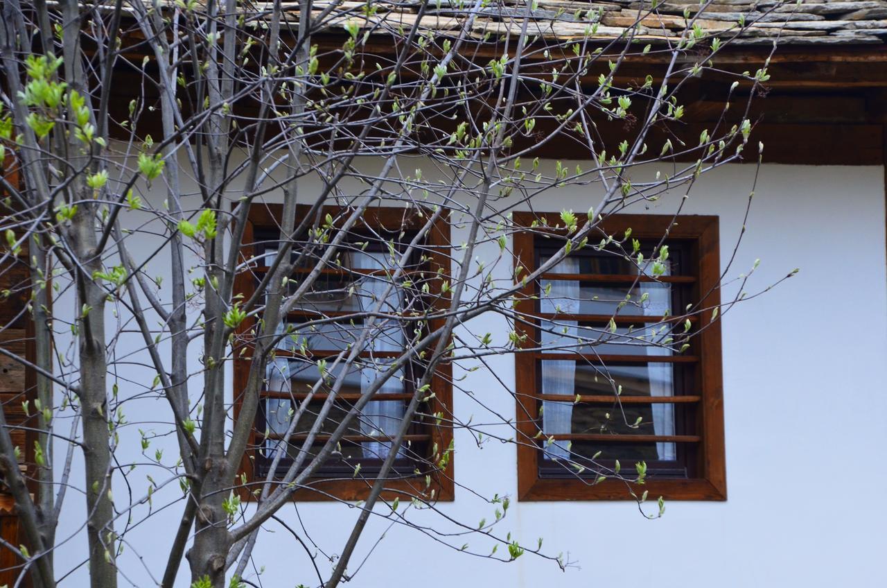 Kalinia Guesthouse B&B Kovacevica Ngoại thất bức ảnh