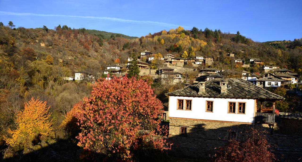 Kalinia Guesthouse B&B Kovacevica Ngoại thất bức ảnh
