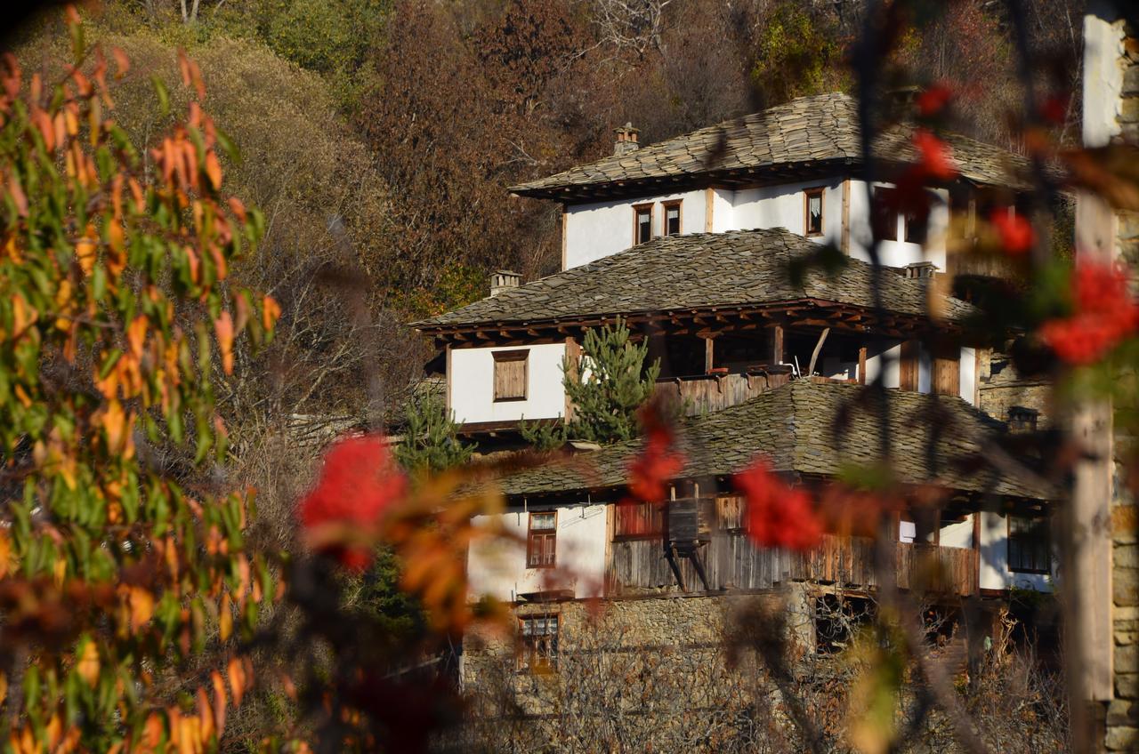 Kalinia Guesthouse B&B Kovacevica Ngoại thất bức ảnh