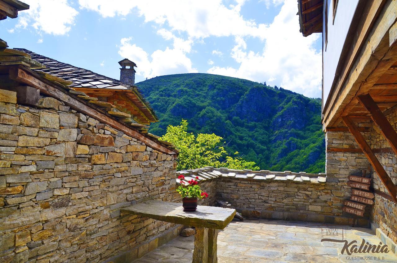 Kalinia Guesthouse B&B Kovacevica Ngoại thất bức ảnh