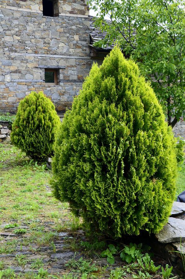 Kalinia Guesthouse B&B Kovacevica Ngoại thất bức ảnh