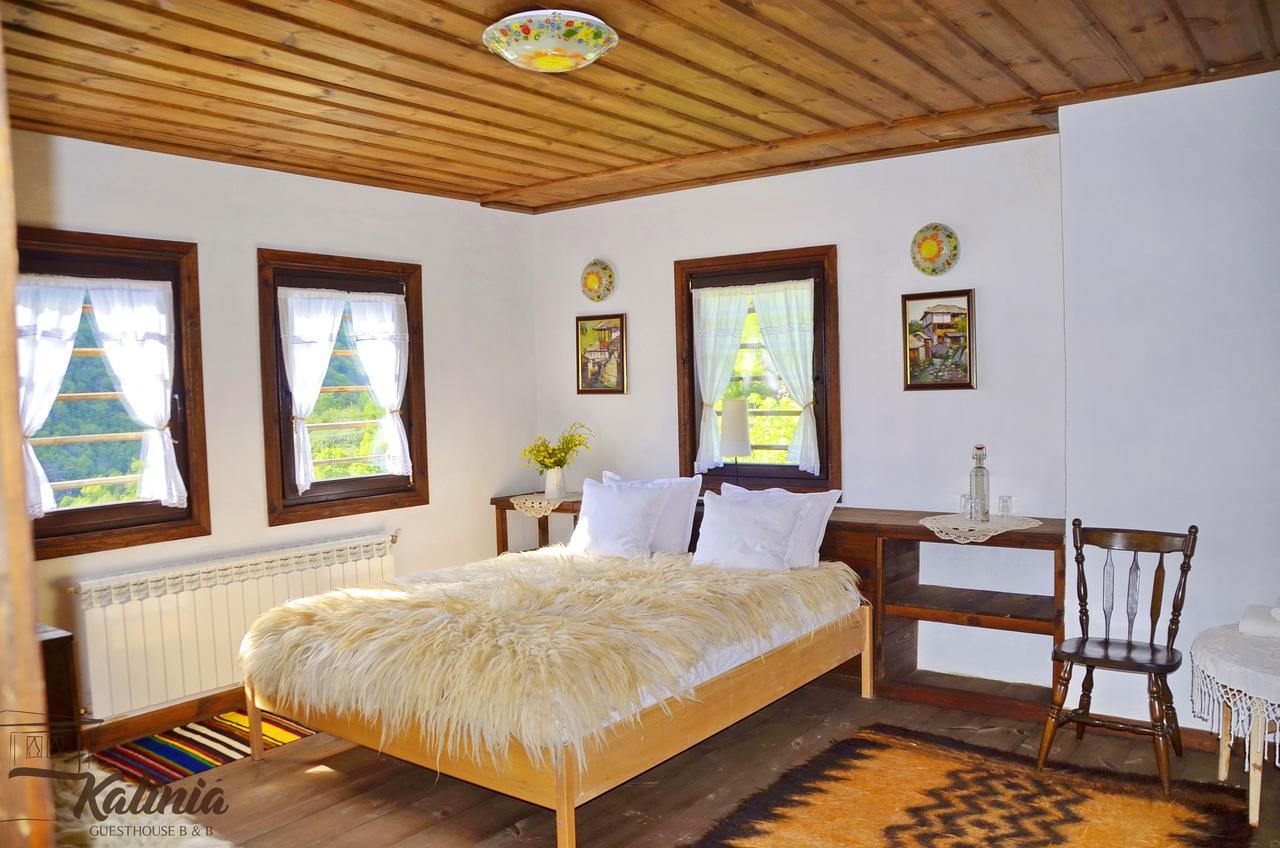 Kalinia Guesthouse B&B Kovacevica Ngoại thất bức ảnh