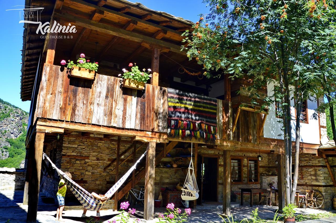 Kalinia Guesthouse B&B Kovacevica Ngoại thất bức ảnh
