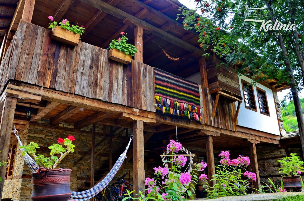 Kalinia Guesthouse B&B Kovacevica Ngoại thất bức ảnh