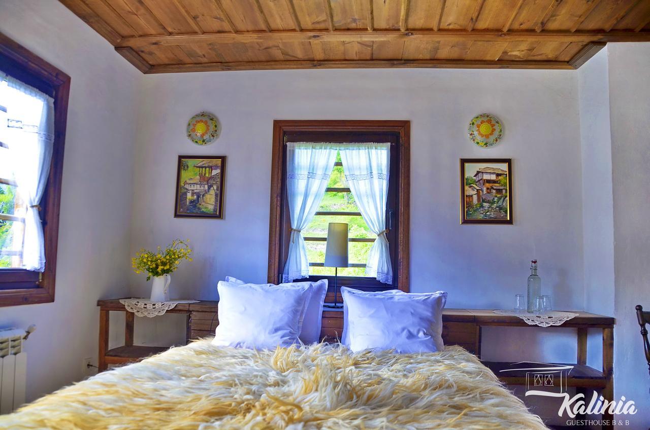 Kalinia Guesthouse B&B Kovacevica Ngoại thất bức ảnh