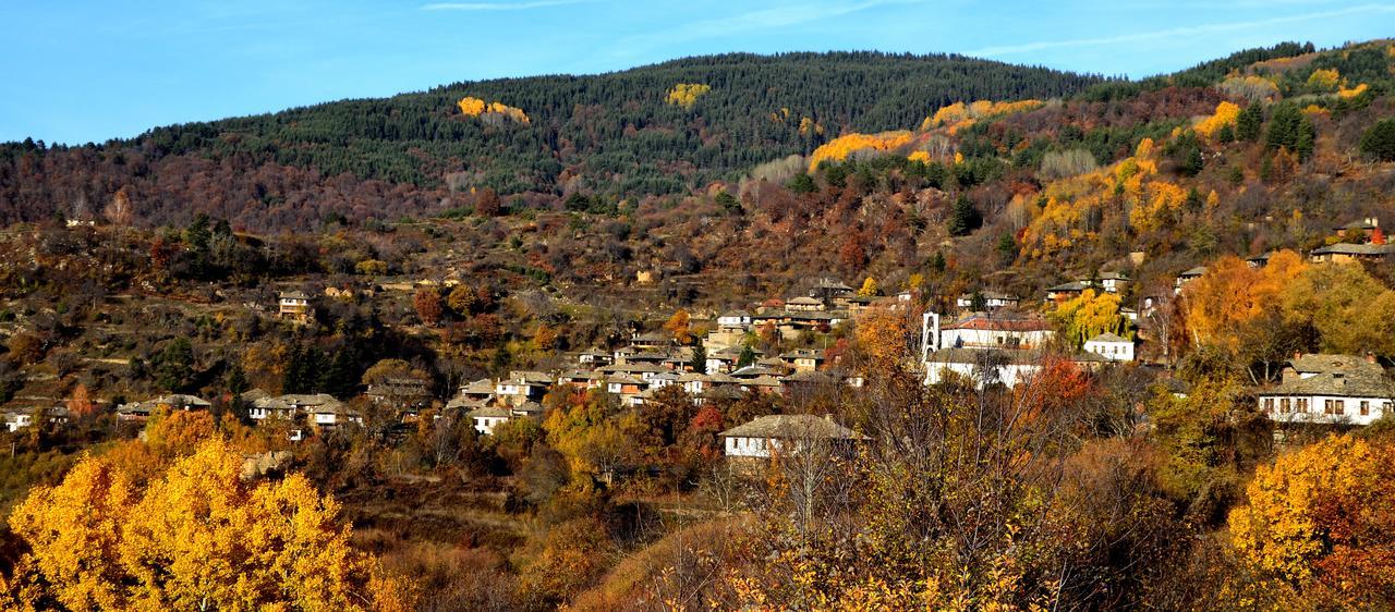 Kalinia Guesthouse B&B Kovacevica Ngoại thất bức ảnh